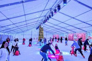 Your Guide to Plymouth Skate Rink Fun & More! Safem Fabrication - Precision Engineering & Custom Manufacturing Solutions Your Guide to Plymouth Skate Rink Fun & More! | Safem Fabrication - Precision Engineering & Custom Manufacturing Solutions