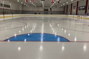 Best Skate Rink in Raleigh NC: Fun For All! Safem Fabrication - Precision Engineering & Custom Manufacturing Solutions Best Skate Rink in Raleigh NC: Fun For All! | Safem Fabrication - Precision Engineering & Custom Manufacturing Solutions
