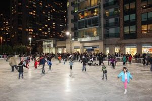 Newport Skates Ice Rink: Skate into Fun! Safem Fabrication - Precision Engineering & Custom Manufacturing Solutions Newport Skates Ice Rink: Skate into Fun! | Safem Fabrication - Precision Engineering & Custom Manufacturing Solutions