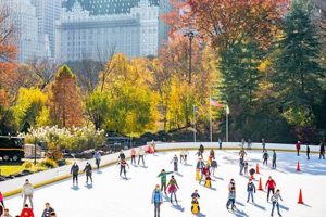 Discover Your Free Skate Ice Rink Fun + Tips! Safem Fabrication - Precision Engineering & Custom Manufacturing Solutions Discover Your Free Skate Ice Rink Fun + Tips! | Safem Fabrication - Precision Engineering & Custom Manufacturing Solutions