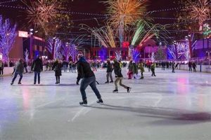 Skate Fun: Rosemont Ice Skate Rink Near You! Safem Fabrication - Precision Engineering & Custom Manufacturing Solutions Skate Fun: Rosemont Ice Skate Rink Near You! | Safem Fabrication - Precision Engineering & Custom Manufacturing Solutions