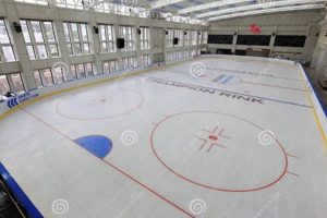 The Best Champion Skate Rink Near You: Glide & Shine! Safem Fabrication - Precision Engineering & Custom Manufacturing Solutions The Best Champion Skate Rink Near You: Glide & Shine! | Safem Fabrication - Precision Engineering & Custom Manufacturing Solutions