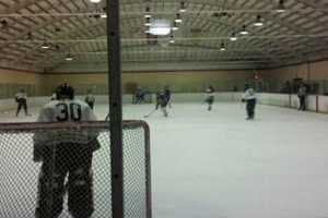 Find Ontario Ice Skate Rinks: Locations & More! Safem Fabrication - Precision Engineering & Custom Manufacturing Solutions Find Ontario Ice Skate Rinks: Locations & More! | Safem Fabrication - Precision Engineering & Custom Manufacturing Solutions