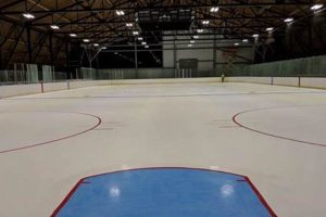 Skate New Haven's Ralph Walker Rink: Fun on Ice! Safem Fabrication - Precision Engineering & Custom Manufacturing Solutions Skate New Haven's Ralph Walker Rink: Fun on Ice! | Safem Fabrication - Precision Engineering & Custom Manufacturing Solutions