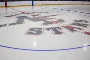 Skate 3 Ice Rink Guide: Master the Frozen Park! Safem Fabrication - Precision Engineering & Custom Manufacturing Solutions Skate 3 Ice Rink Guide: Master the Frozen Park! | Safem Fabrication - Precision Engineering & Custom Manufacturing Solutions