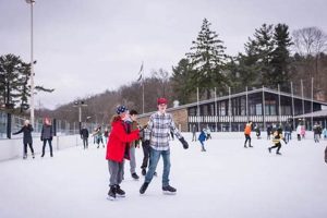 North Park Skate Rink: Glide, Games, & Fun! Safem Fabrication - Precision Engineering & Custom Manufacturing Solutions North Park Skate Rink: Glide, Games, & Fun! | Safem Fabrication - Precision Engineering & Custom Manufacturing Solutions