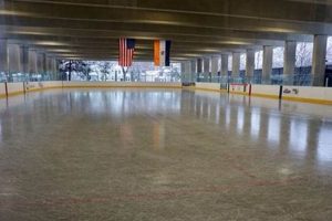 Albany Skate Rink: Fun on Ice & Wheels + More! Safem Fabrication - Precision Engineering & Custom Manufacturing Solutions Albany Skate Rink: Fun on Ice & Wheels + More! | Safem Fabrication - Precision Engineering & Custom Manufacturing Solutions