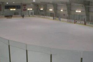 Glide into Fun: Northtown Ice Rink Open Skate Times! Safem Fabrication - Precision Engineering & Custom Manufacturing Solutions Glide into Fun: Northtown Ice Rink Open Skate Times! | Safem Fabrication - Precision Engineering & Custom Manufacturing Solutions