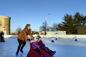 Roll into Fun: Lancaster Skate Rink Adventures & More! Safem Fabrication - Precision Engineering & Custom Manufacturing Solutions Roll into Fun: Lancaster Skate Rink Adventures & More! | Safem Fabrication - Precision Engineering & Custom Manufacturing Solutions