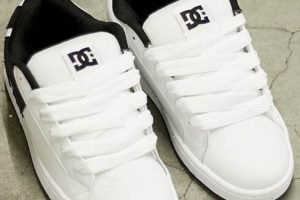 Buy DC Court Graffik White & Black Skate Shoes | On Sale! Safem Fabrication - Precision Engineering & Custom Manufacturing Solutions Buy DC Court Graffik White & Black Skate Shoes | On Sale! | Safem Fabrication - Precision Engineering & Custom Manufacturing Solutions