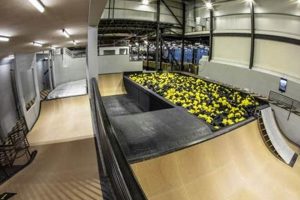 Best Utah Indoor Skate Parks: Your Year-Round Guide Safem Fabrication - Precision Engineering & Custom Manufacturing Solutions Best Utah Indoor Skate Parks: Your Year-Round Guide | Safem Fabrication - Precision Engineering & Custom Manufacturing Solutions