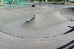 Your Guide to Reed Skate Park AZ: Thrills Await! How to Skateboard: A Beginner's Guide to Your First Board & Tricks Your Guide to Reed Skate Park AZ: Thrills Await! | How to Skateboard: A Beginner's Guide to Your First Board & Tricks