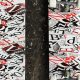 Best Cheap Skate Decks for Skaters: Deals & More! | How to Skateboard: A Beginner's Guide to Your First Board & Tricks