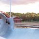 Newark's Best Skate Parks NJ: Spots & Guide | How to Skateboard: A Beginner's Guide to Your First Board & Tricks