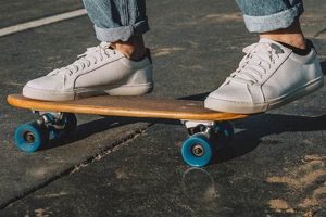 Best Primer Skate Decks for Beginner Skaters in 2024 How to Skateboard: A Beginner's Guide to Your First Board & Tricks Best Primer Skate Decks for Beginner Skaters in 2024 | How to Skateboard: A Beginner's Guide to Your First Board & Tricks
