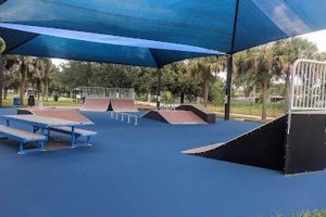 Park Smart: Azalea Skate Parking Lot Guide & Tips How to Skateboard: A Beginner's Guide to Your First Board & Tricks Park Smart: Azalea Skate Parking Lot Guide & Tips | How to Skateboard: A Beginner's Guide to Your First Board & Tricks