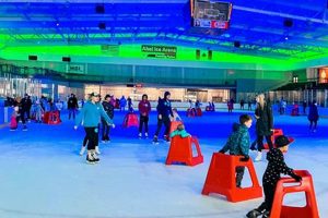 Your Guide to Recplex Open Skate Fun for Skaters How to Skateboard: A Beginner's Guide to Your First Board & Tricks Your Guide to Recplex Open Skate Fun for Skaters | How to Skateboard: A Beginner's Guide to Your First Board & Tricks