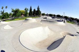 Your Guide to Skate Parks in Stockton CA: Find Your Spot! How to Skateboard: A Beginner's Guide to Your First Board & Tricks Your Guide to Skate Parks in Stockton CA: Find Your Spot! | How to Skateboard: A Beginner's Guide to Your First Board & Tricks
