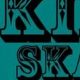 Your Local Kingpin Skate Shop: Gear & More! | How to Skateboard: A Beginner's Guide to Your First Board & Tricks