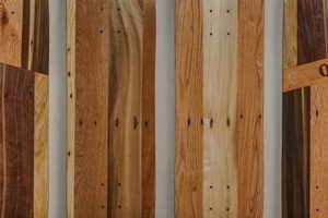 Best Skate Wood: Deck Types, Care & More for Skaters How to Skateboard: A Beginner's Guide to Your First Board & Tricks Best Skate Wood: Deck Types, Care & More for Skaters | How to Skateboard: A Beginner's Guide to Your First Board & Tricks