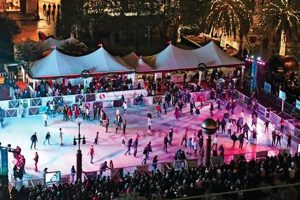 Best Skate Rinks in San Francisco: Glide into Fun! How to Skateboard: A Beginner's Guide to Your First Board & Tricks Best Skate Rinks in San Francisco: Glide into Fun! | How to Skateboard: A Beginner's Guide to Your First Board & Tricks