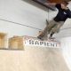 Glen Ellyn Skate Shop: Gear, Community & More! | How to Skateboard: A Beginner's Guide to Your First Board & Tricks