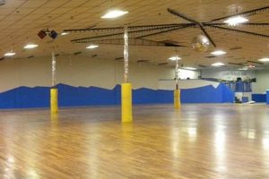 Southaven MS Skate Rink: Fun & Fitness On Wheels! How to Skateboard: A Beginner's Guide to Your First Board & Tricks Southaven MS Skate Rink: Fun & Fitness On Wheels! | How to Skateboard: A Beginner's Guide to Your First Board & Tricks