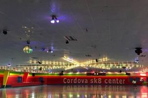 Get Your Cordova Skate On: Gear & Tips Safem Fabrication - Precision Engineering & Custom Manufacturing Solutions Get Your Cordova Skate On: Gear & Tips | Safem Fabrication - Precision Engineering & Custom Manufacturing Solutions