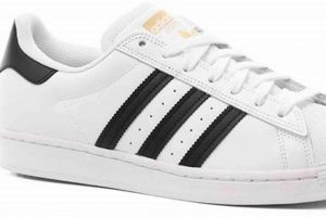 Best Superstars Skate Shoes for You: Style & Performance How to Skateboard: A Beginner's Guide to Your First Board & Tricks Best Superstars Skate Shoes for You: Style & Performance | How to Skateboard: A Beginner's Guide to Your First Board & Tricks