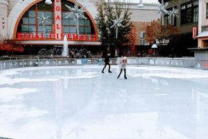 Avalon Skate Rink Fun: The Best Skating Rink Around! How to Skateboard: A Beginner's Guide to Your First Board & Tricks Avalon Skate Rink Fun: The Best Skating Rink Around! | How to Skateboard: A Beginner's Guide to Your First Board & Tricks