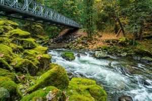 Skater's Guide: Skate Creek Rd Adventures How to Skateboard: A Beginner's Guide to Your First Board & Tricks Skater's Guide: Skate Creek Rd Adventures | How to Skateboard: A Beginner's Guide to Your First Board & Tricks