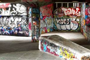 Unlocking Skate Park Graffiti Art: Culture & Creativity How to Skateboard: A Beginner's Guide to Your First Board & Tricks Unlocking Skate Park Graffiti Art: Culture & Creativity | How to Skateboard: A Beginner's Guide to Your First Board & Tricks