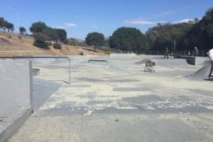 Salinas Skate Parks Guide: Find the Best Local Spots! How to Skateboard: A Beginner's Guide to Your First Board & Tricks Salinas Skate Parks Guide: Find the Best Local Spots! | How to Skateboard: A Beginner's Guide to Your First Board & Tricks