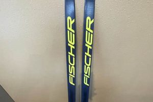 Shop Skate Skis for Sale | Best Deals For Skaters How to Skateboard: A Beginner's Guide to Your First Board & Tricks Shop Skate Skis for Sale | Best Deals For Skaters | How to Skateboard: A Beginner's Guide to Your First Board & Tricks