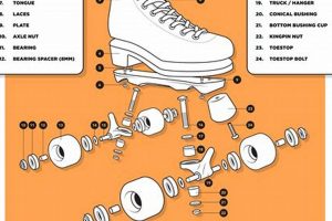 Learn Roller Skate Terminology: The Skater's Language How to Skateboard: A Beginner's Guide to Your First Board & Tricks Learn Roller Skate Terminology: The Skater's Language | How to Skateboard: A Beginner's Guide to Your First Board & Tricks