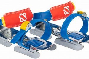 Top Bob Ice Skates: Reviews & Best Deals on Ice! How to Skateboard: A Beginner's Guide to Your First Board & Tricks Top Bob Ice Skates: Reviews & Best Deals on Ice! | How to Skateboard: A Beginner's Guide to Your First Board & Tricks