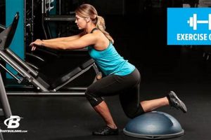Skater Strength: Master the Single Leg Skater Squat Today! How to Skateboard: A Beginner's Guide to Your First Board & Tricks Skater Strength: Master the Single Leg Skater Squat Today! | How to Skateboard: A Beginner's Guide to Your First Board & Tricks