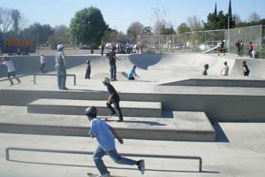 Best Bay Area Skate Parks: Skateboarding Paradise! How to Skateboard: A Beginner's Guide to Your First Board & Tricks Best Bay Area Skate Parks: Skateboarding Paradise! | How to Skateboard: A Beginner's Guide to Your First Board & Tricks