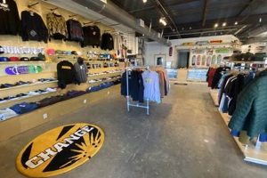 Your Blvd Skate Shop: Gear Up & Ride On! How to Skateboard: A Beginner's Guide to Your First Board & Tricks Your Blvd Skate Shop: Gear Up & Ride On! | How to Skateboard: A Beginner's Guide to Your First Board & Tricks
