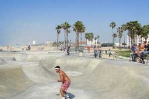 Best Skate Parks in West Palm Beach, FL: Guide + More! How to Skateboard: A Beginner's Guide to Your First Board & Tricks Best Skate Parks in West Palm Beach, FL: Guide + More! | How to Skateboard: A Beginner's Guide to Your First Board & Tricks