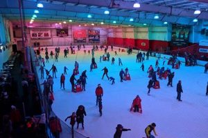 Find Open Skate Ice Skating Near Me: Times & Fun! How to Skateboard: A Beginner's Guide to Your First Board & Tricks Find Open Skate Ice Skating Near Me: Times & Fun! | How to Skateboard: A Beginner's Guide to Your First Board & Tricks