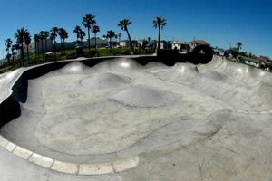 Galveston Skate Park Guide: Ride the Best Park in Texas! How to Skateboard: A Beginner's Guide to Your First Board & Tricks Galveston Skate Park Guide: Ride the Best Park in Texas! | How to Skateboard: A Beginner's Guide to Your First Board & Tricks