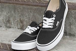 Best Vans Authentic Skate Shoe: Review & Guide How to Skateboard: A Beginner's Guide to Your First Board & Tricks Best Vans Authentic Skate Shoe: Review & Guide | How to Skateboard: A Beginner's Guide to Your First Board & Tricks