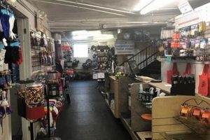 Shop At Cookes Skate Shop: Gear & More! How to Skateboard: A Beginner's Guide to Your First Board & Tricks Shop At Cookes Skate Shop: Gear & More! | How to Skateboard: A Beginner's Guide to Your First Board & Tricks