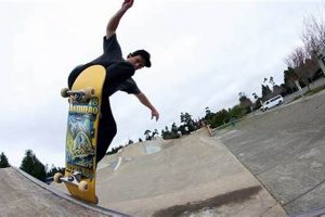 Go Big! Limousine Skates for the Serious Skater How to Skateboard: A Beginner's Guide to Your First Board & Tricks Go Big! Limousine Skates for the Serious Skater | How to Skateboard: A Beginner's Guide to Your First Board & Tricks
