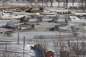 Glide into Winter: Riverfront Skate Ribbon Fun for All How to Skateboard: A Beginner's Guide to Your First Board & Tricks Glide into Winter: Riverfront Skate Ribbon Fun for All | How to Skateboard: A Beginner's Guide to Your First Board & Tricks