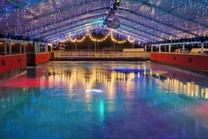 Get Your Windsor Ice Skates On! Glide Across the Ice How to Skateboard: A Beginner's Guide to Your First Board & Tricks Get Your Windsor Ice Skates On! Glide Across the Ice | How to Skateboard: A Beginner's Guide to Your First Board & Tricks