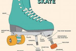 Complete Roller Skate Parts Guide: Enhance Your Roll! How to Skateboard: A Beginner's Guide to Your First Board & Tricks Complete Roller Skate Parts Guide: Enhance Your Roll! | How to Skateboard: A Beginner's Guide to Your First Board & Tricks
