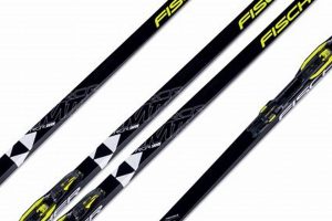 Master the Ice: Fischer Skate Skis for Speed How to Skateboard: A Beginner's Guide to Your First Board & Tricks Master the Ice: Fischer Skate Skis for Speed | How to Skateboard: A Beginner's Guide to Your First Board & Tricks