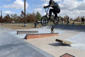 Norman OK Skate Parks: Your Guide to Ramps & Rails! How to Skateboard: A Beginner's Guide to Your First Board & Tricks Norman OK Skate Parks: Your Guide to Ramps & Rails! | How to Skateboard: A Beginner's Guide to Your First Board & Tricks